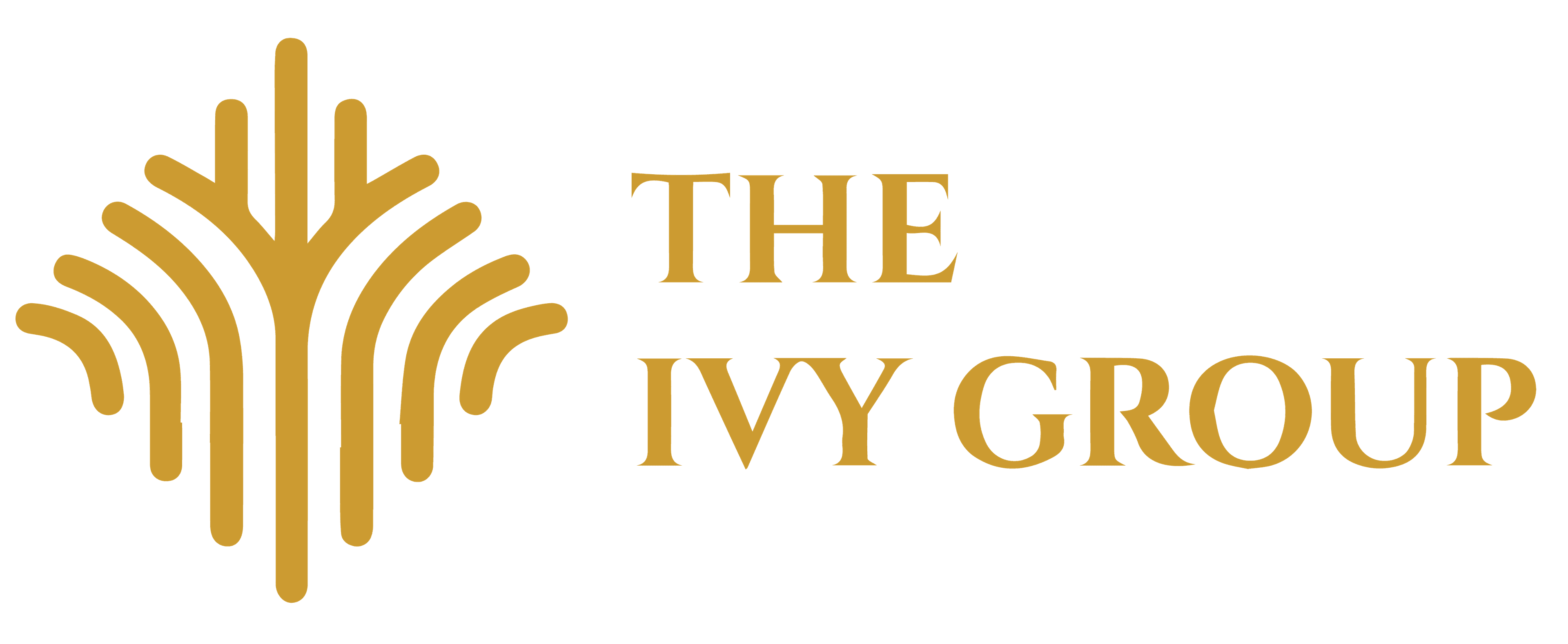 Ivy Advisory Team